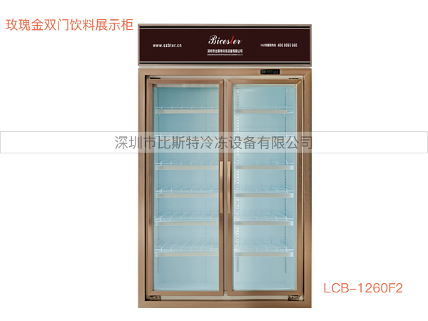 珠海双门饮料展示柜